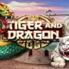 Dragon Tiger at PHCash – Top entertainment, great prizes