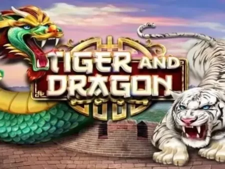 Dragon Tiger at PHCash – Top entertainment, great prizes