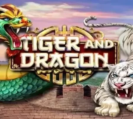 Dragon Tiger at PHCash – Top entertainment, great prizes